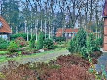 cisza przed burzą... tj. sezonem