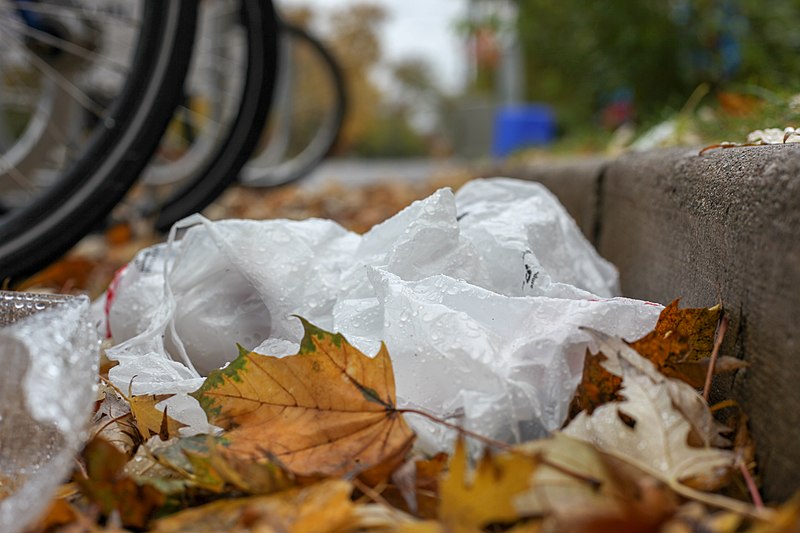 PlasticBag