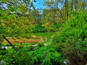 Planten un Blomen Hamburg