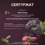 Certyfikat uczestnictwa Piotra Krupy w VIII Konferencji Naukowo-Szkoleniowej Oś jelito-wątroba-mózg, Pomorski Uniwersytet Medyczny w Szczecinie, 2020